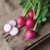 Pink Beauty -Plant Seeds Sales 00626g 01 pinkbeauty