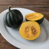Honey Bear -Plant Seeds Sales 00689 01 honey bear acorn squash