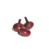Red Marble 2 Red Marble -Plant Seeds Sales 02717g 01 redmarble