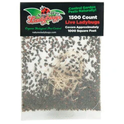 Ladybugs (Netted Bag Of 1,500) - Store Pickup -Plant Seeds Sales PBE405 web1