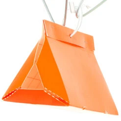 Pest Wizard Paper Delta Trap 3-Pack -Plant Seeds Sales Paper Delta Trap 3 Pack 3