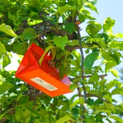 Pest Wizard Paper Delta Trap 3-Pack -Plant Seeds Sales Paper Delta Trap 3 Pack 4