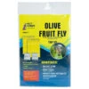 Pest Wizard Olive Fruit Fly Trap Kit -Plant Seeds Sales Pest Wizard Olive Fruit Fly Trap Kit 1