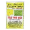 Pest Wizard Yellow Sticky Card Trap, Large 4-Pack -Plant Seeds Sales fly and bug sticky yellow trap 4 pack