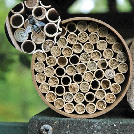 Mason Bee Kit 68 Tubes 3 Mason Bee Kit 68 Tubes