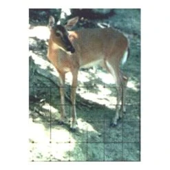 Deer Fencing (7.5'X 330') 5 Deer Fencing (7.5'X 330') -Plant Seeds Sales pbr950 hi