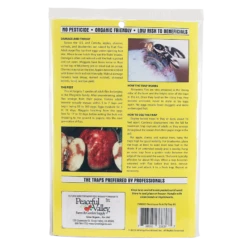 Plant Seeds Sales -Plant Seeds Sales pit750 web2